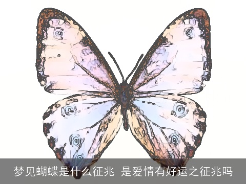 梦见蝴蝶是什么征兆 是爱情有好运之征兆吗