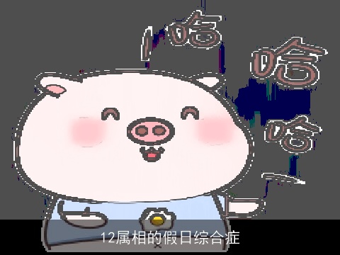 12属相的假日综合症