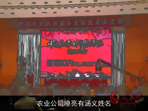 农业公司嘹亮有涵义姓名