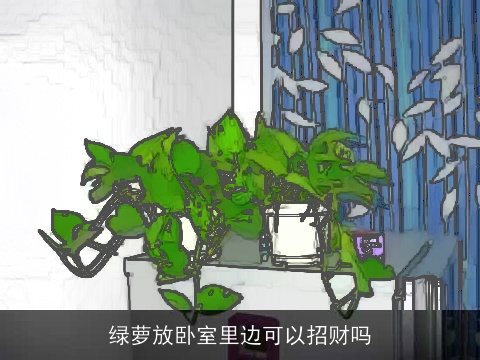 绿萝放卧室里边可以招财吗