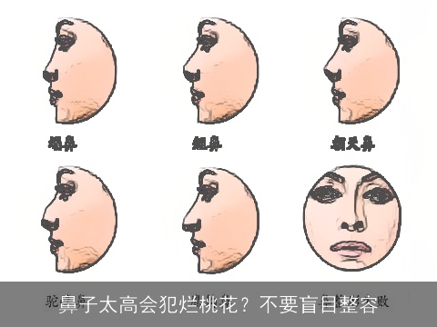 鼻子太高会犯烂桃花？不要盲目整容