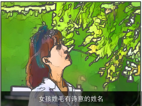 女孩姓毛有诗意的姓名