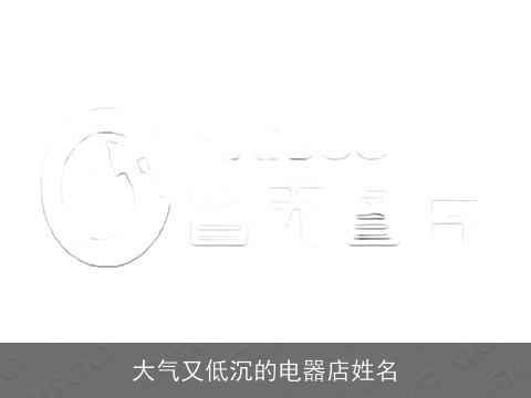 大气又低沉的电器店姓名