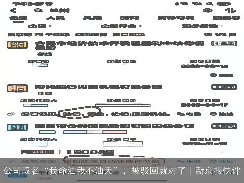 公司取名“我命油我不油天”，被驳回就对了｜新京报快评