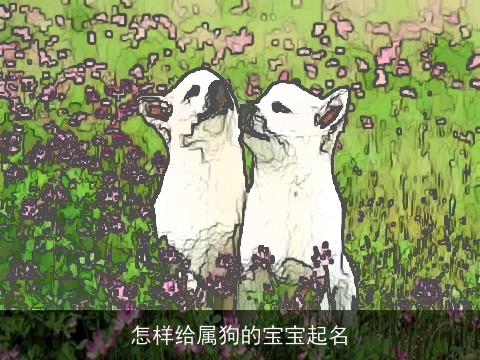 怎样给属狗的宝宝起名