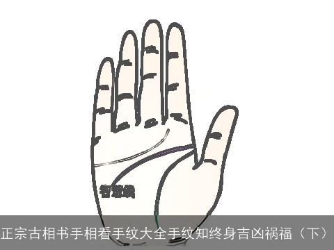 正宗古相书手相看手纹大全手纹知终身吉凶祸福（下）