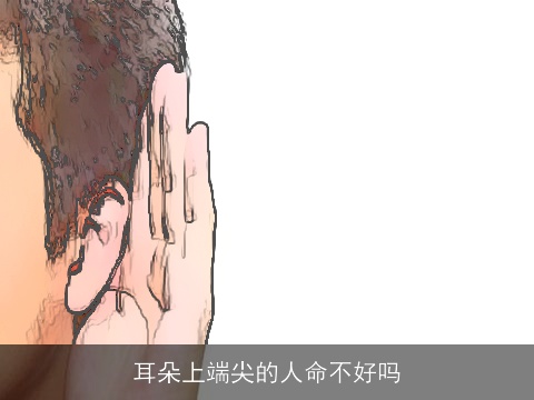 耳朵上端尖的人命不好吗