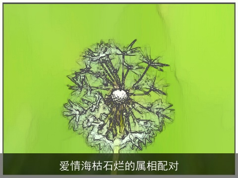 爱情海枯石烂的属相配对