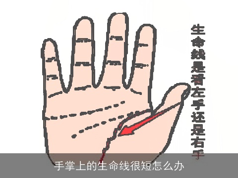 手掌上的生命线很短怎么办