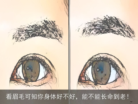 看眉毛可知你身体好不好，能不能长命到老！