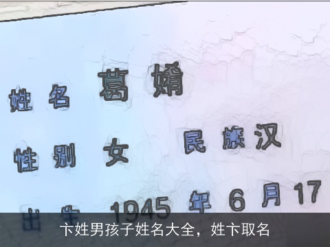 卞姓男孩子姓名大全，姓卞取名