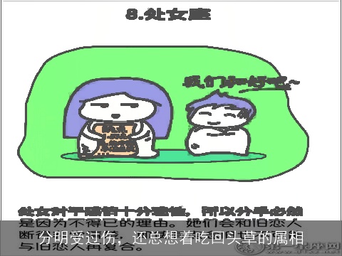 分明受过伤，还总想着吃回头草的属相