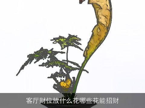 客厅财位放什么花哪些花能招财