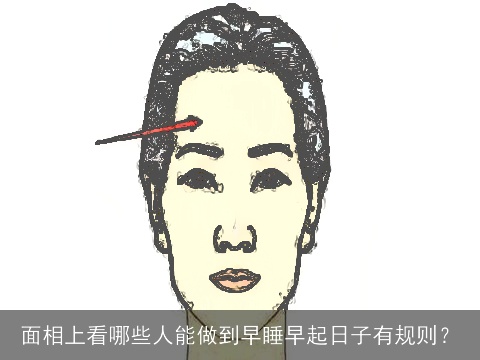 面相上看哪些人能做到早睡早起日子有规则？