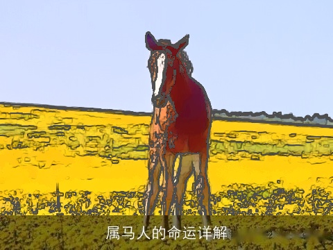 属马人的命运详解
