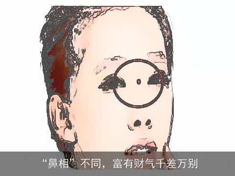 “鼻相”不同，富有财气千差万别