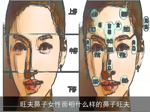 旺夫鼻子女性面相什么样的鼻子旺夫