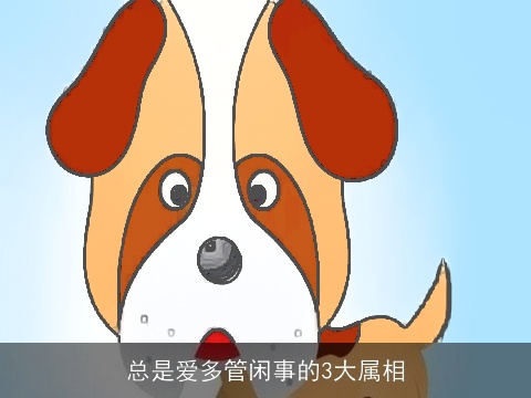 总是爱多管闲事的3大属相