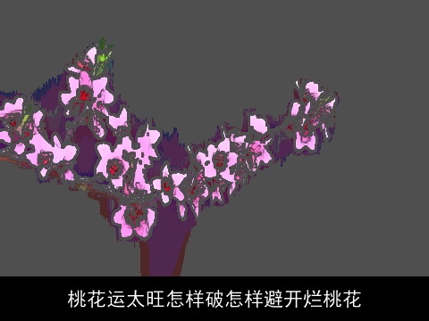 桃花运太旺怎样破怎样避开烂桃花