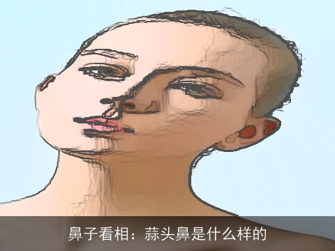 鼻子看相：蒜头鼻是什么样的