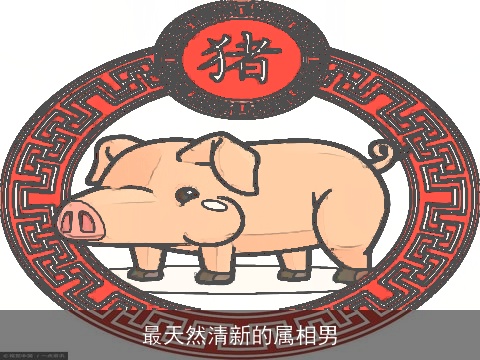 最天然清新的属相男