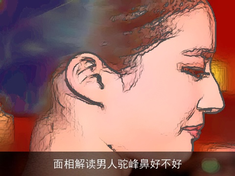 面相解读男人驼峰鼻好不好