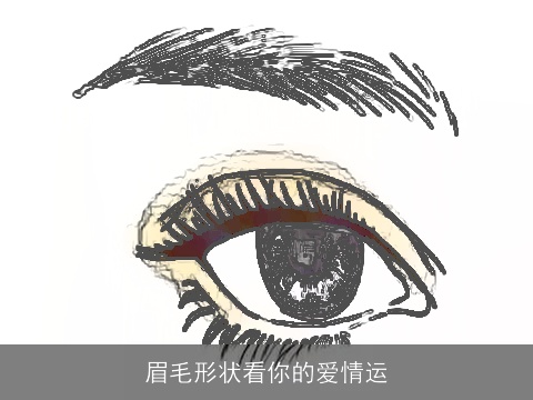 眉毛形状看你的爱情运