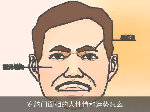 宽脑门面相的人性情和运势怎么