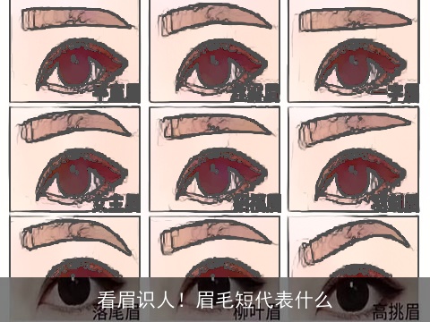 看眉识人！眉毛短代表什么