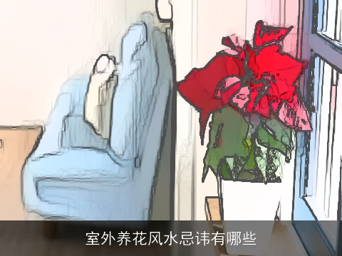 室外养花风水忌讳有哪些