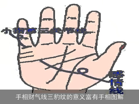 手相财气线三豹纹的意义富有手相图解