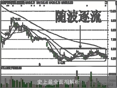 史上最全面相解析