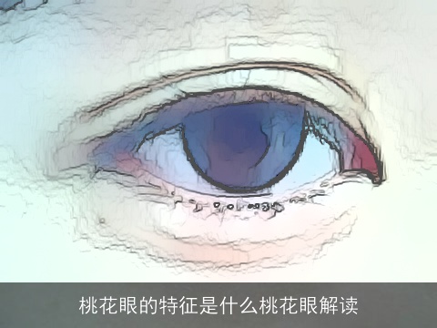 桃花眼的特征是什么桃花眼解读