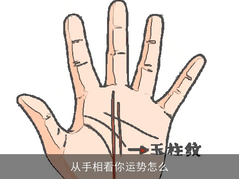 从手相看你运势怎么