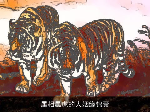 属相属虎的人姻缘锦囊