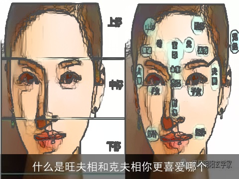 什么是旺夫相和克夫相你更喜爱哪个