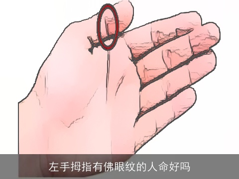 左手拇指有佛眼纹的人命好吗