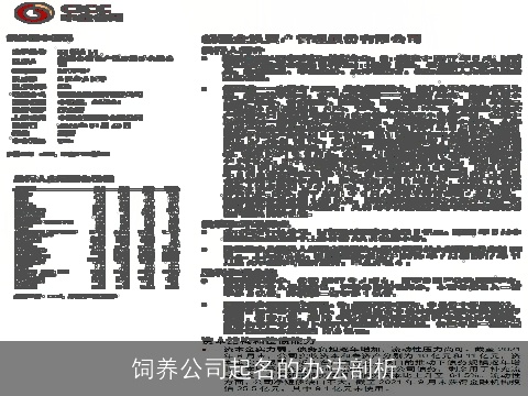 饲养公司起名的办法剖析