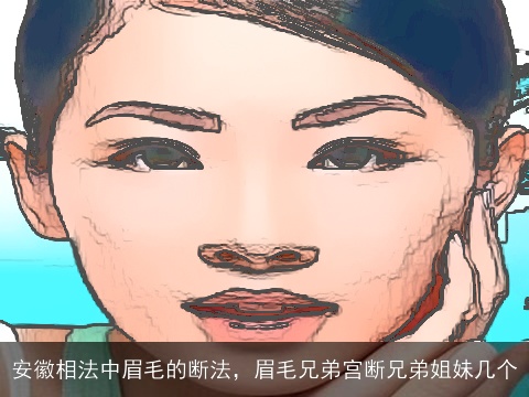 安徽相法中眉毛的断法，眉毛兄弟宫断兄弟姐妹几个