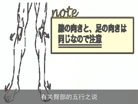 有关臀部的五行之说