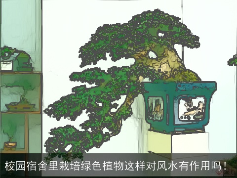 校园宿舍里栽培绿色植物这样对风水有作用吗！