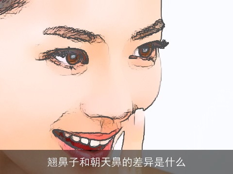 翘鼻子和朝天鼻的差异是什么