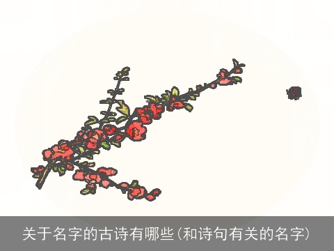关于名字的古诗有哪些(和诗句有关的名字)