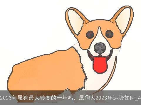 2023年属狗最大转变的一年吗，属狗人2023年运势如何_4