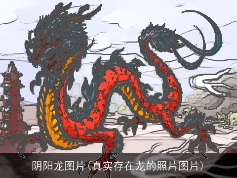 阴阳龙图片(真实存在龙的照片图片)