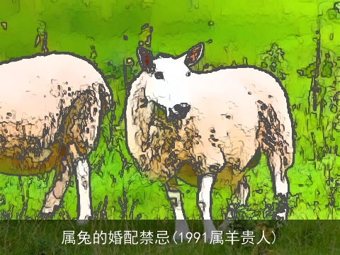 属兔的婚配禁忌(1991属羊贵人)