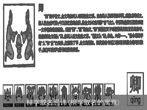 梓字取名忌讳(桐字取名的寓意)