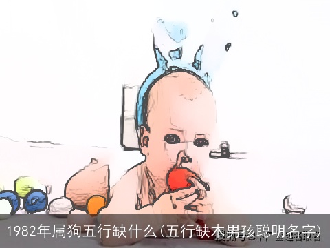 1982年属狗五行缺什么(五行缺木男孩聪明名字)
