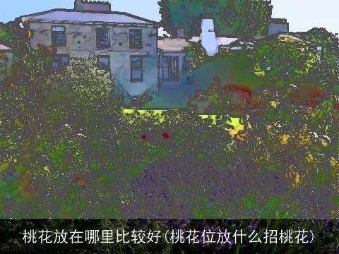 桃花放在哪里比较好(桃花位放什么招桃花)