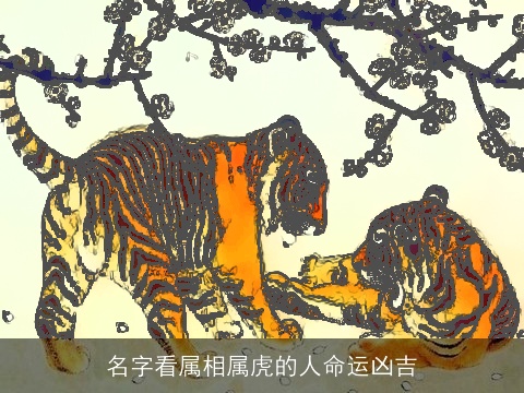 名字看属相属虎的人命运凶吉